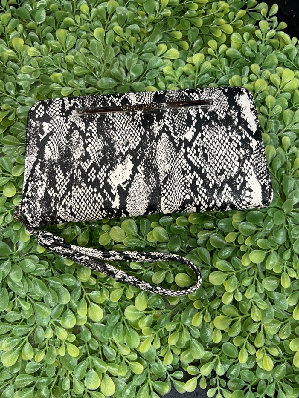 Steve Madden Black and White Snake-Print Wristlet Wallet